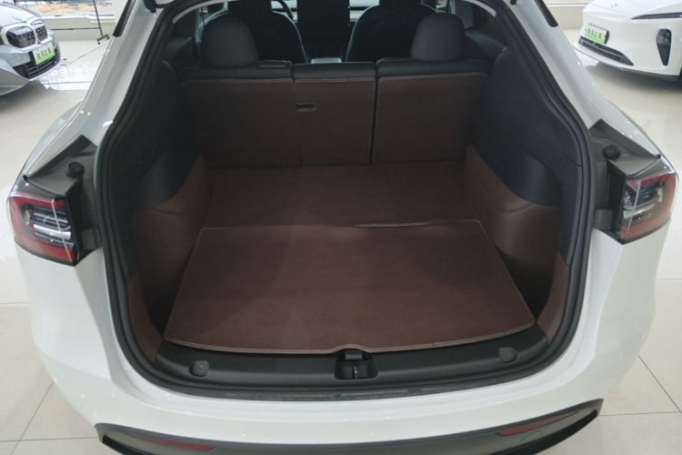 Tesla Model Y 2024 car image #19