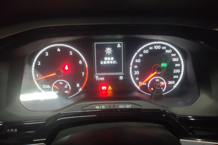 Volkswagen Polo 2019 car image #13