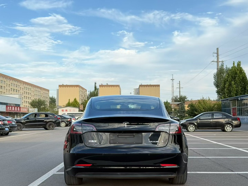 Tesla Model 3 2020 immagine di auto #8