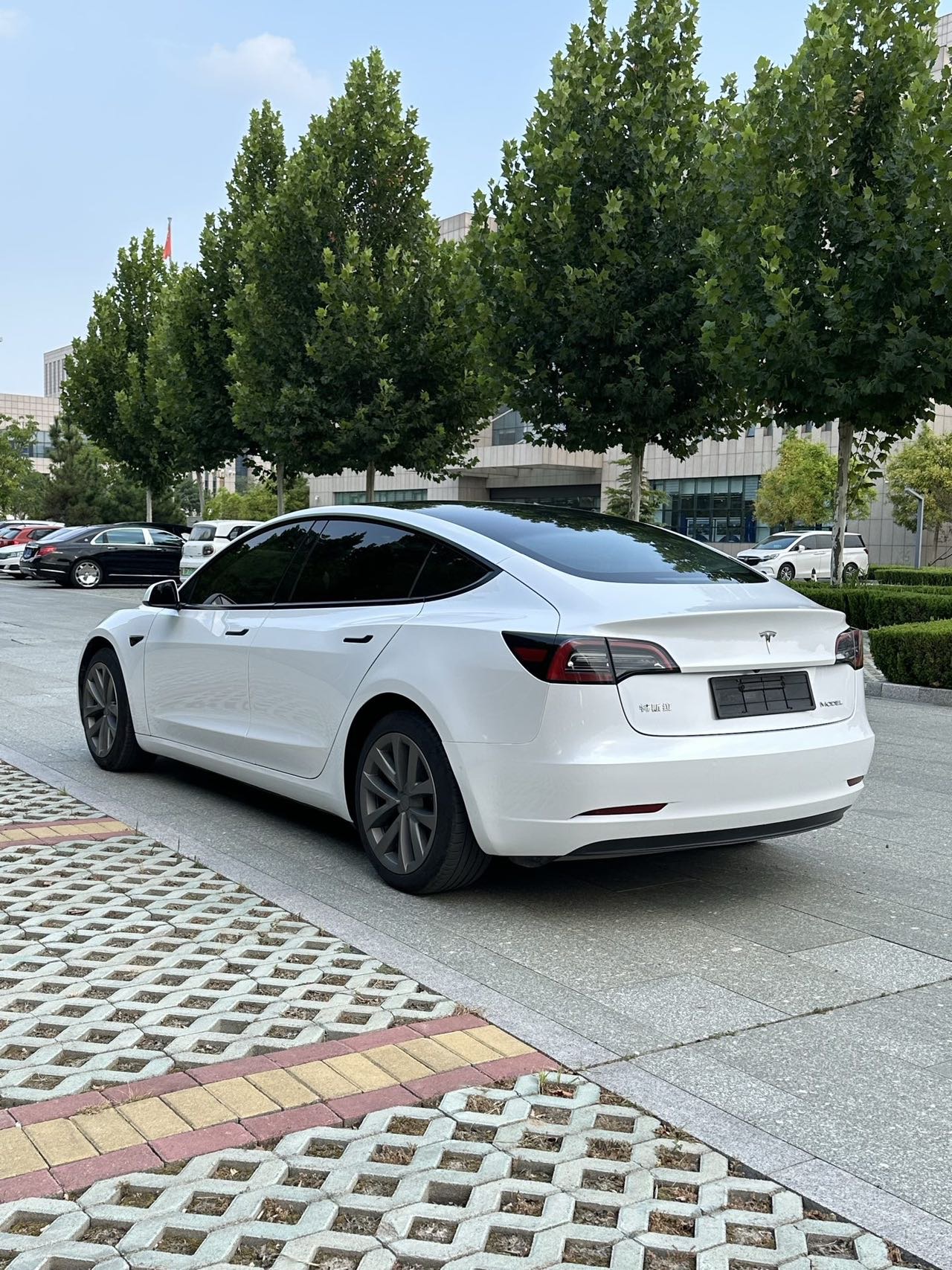 Tesla Model 3 2021 car image #6