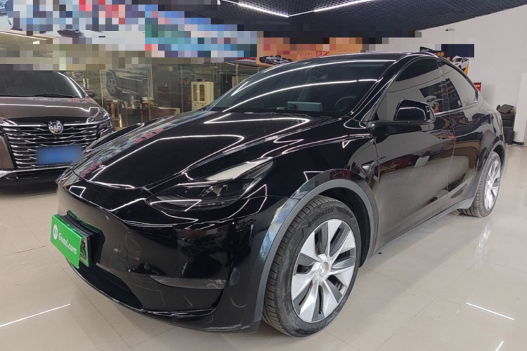 Tesla Model Y 2021 car image #2