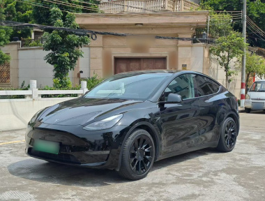 Tesla Model Y 2021 car image 