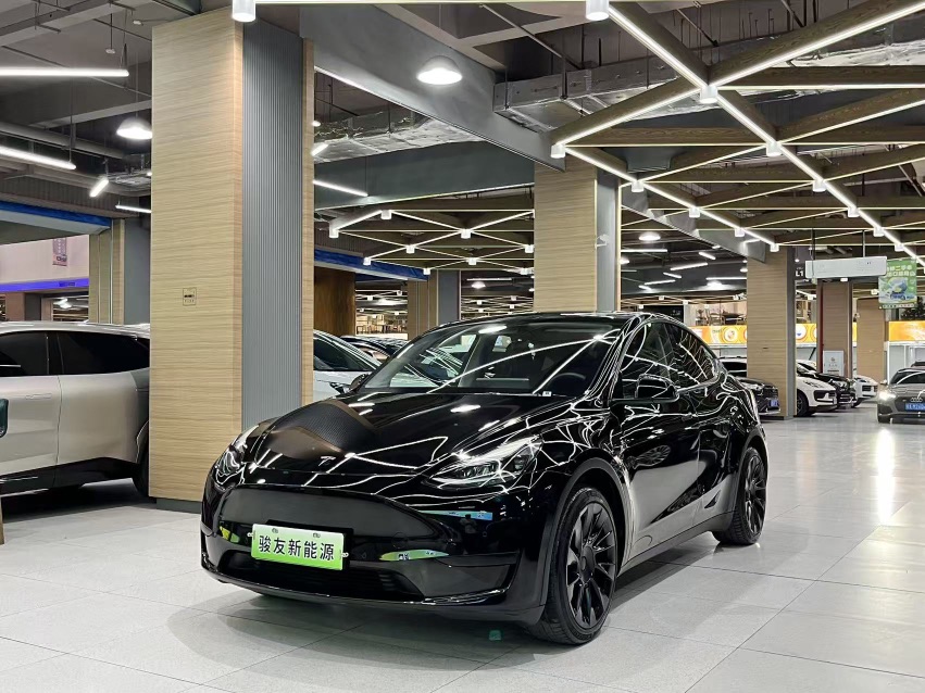 Tesla Model Y 2022 Tesla Model Y 2022 car image