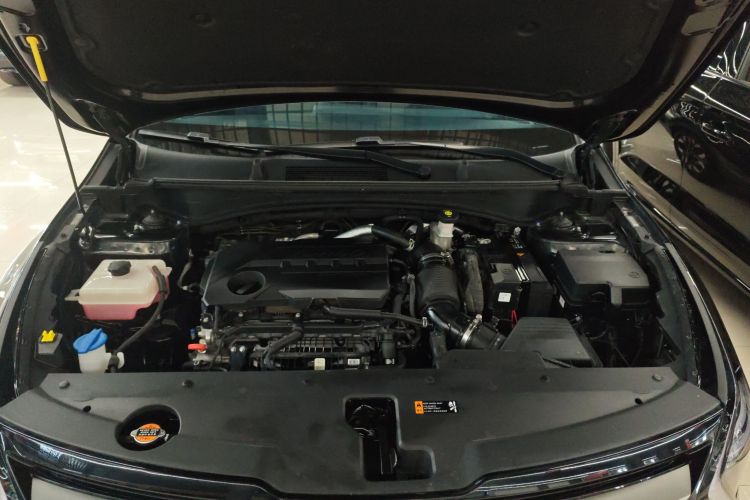 起亚 狮铂拓界 2022 汽车图片 #22