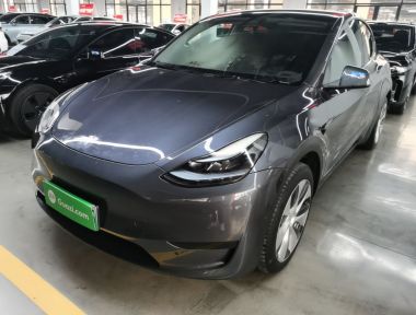 Tesla Model Y 2023 Tesla Model Y 2023 car image