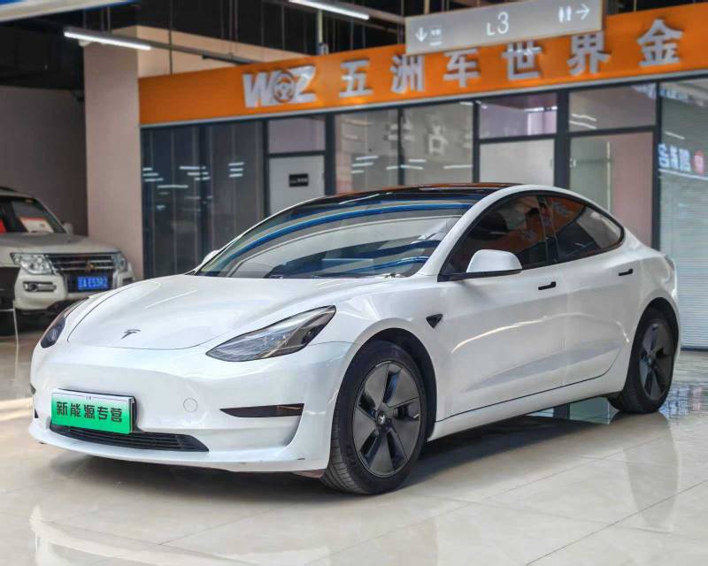 Tesla Model 3 2021 #3 Tesla Model 3 2021 car image #3