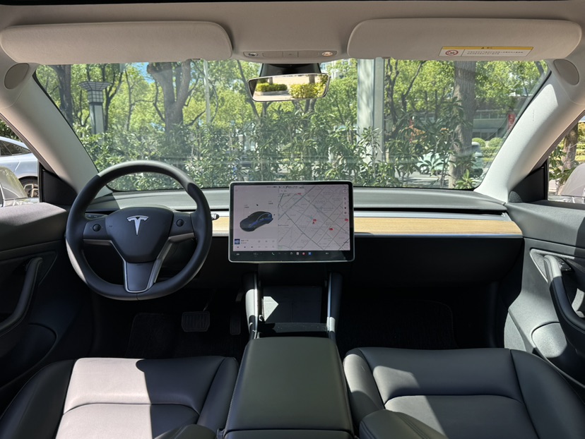Tesla Model 3 2020 #8 Tesla Model 3 2020 car image #8