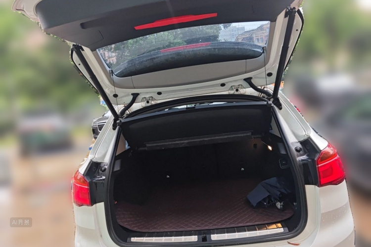 BMW X1 2017 car image #21