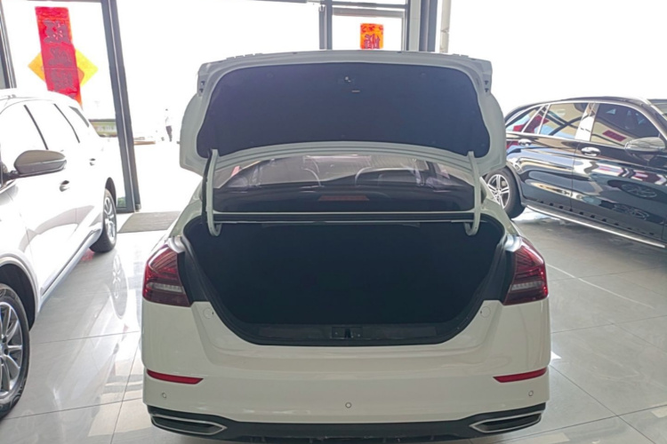 GEELY Emgrand 2021 immagine di auto #21