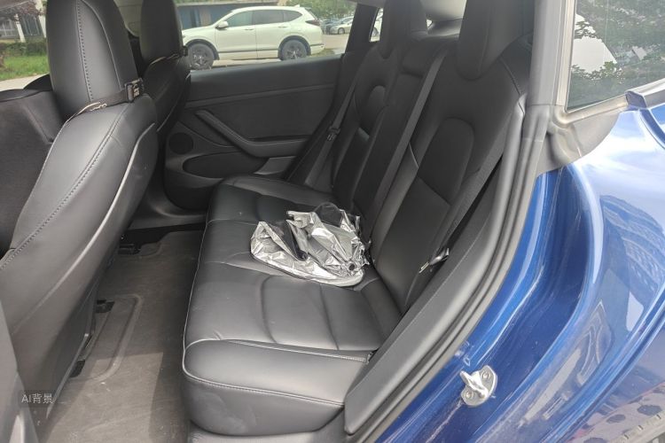 Tesla Model 3 2021 car image #19