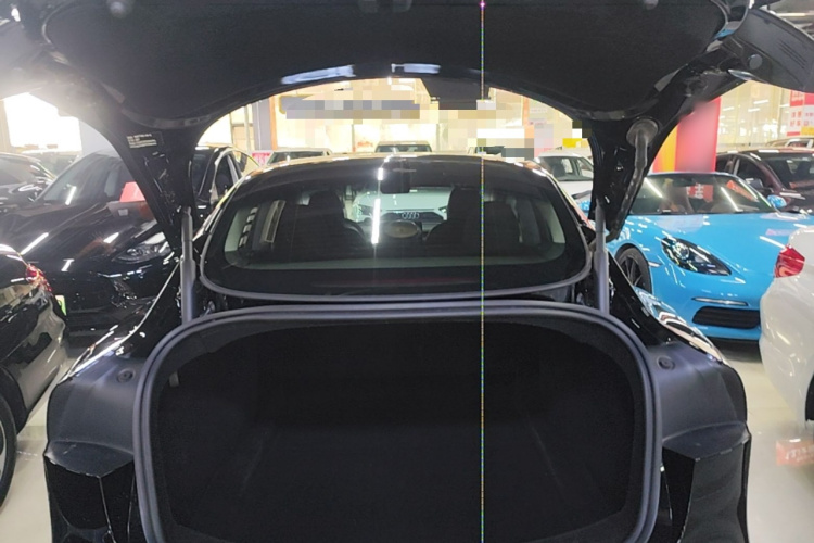 Tesla Model 3 2023 car image #19
