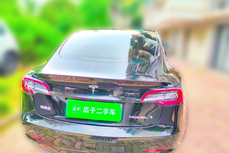Tesla Model 3 2021 car image #4