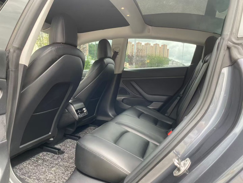 Tesla Model 3 2020 car image #6
