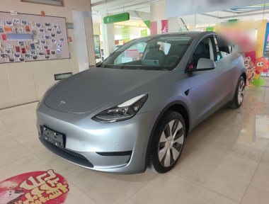 Tesla Model Y 2022 car image 