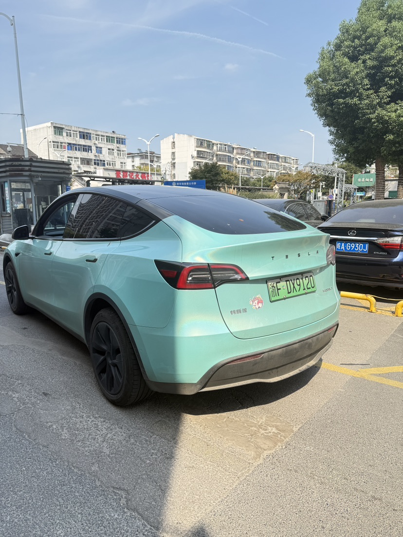 Tesla Model Y 2023 #9 Tesla Model Y 2023 car image #9