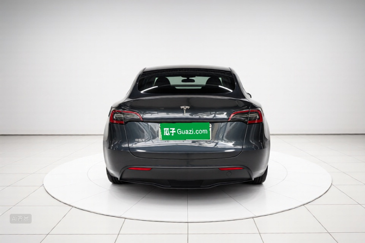 Tesla Model Y 2024 car image #6
