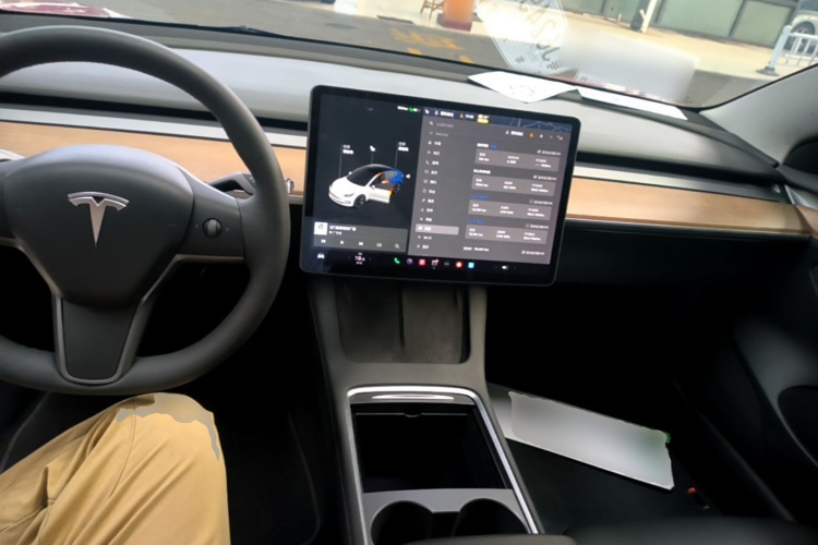 Tesla Model 3 2021 #11 Tesla Model 3 2021 car image #11