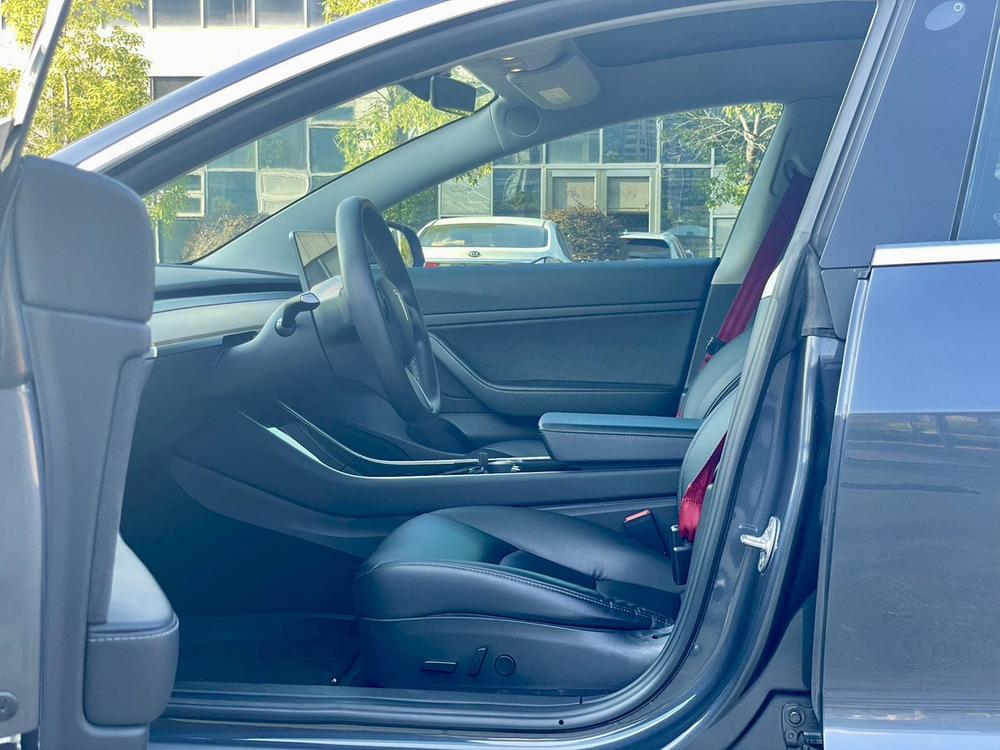 Tesla Model 3 2020 car image #10