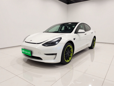 Tesla Model 3 2021 Tesla Model 3 2021 car image