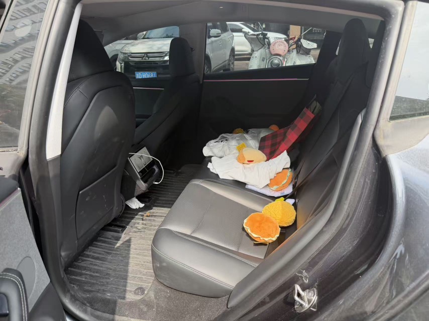 Tesla Model 3 2024 #6 Tesla Model 3 2024 car image #6