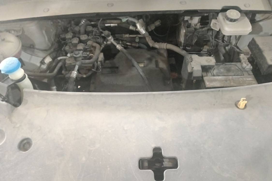 BYD Yuan Plus 2024 immagine di auto #10