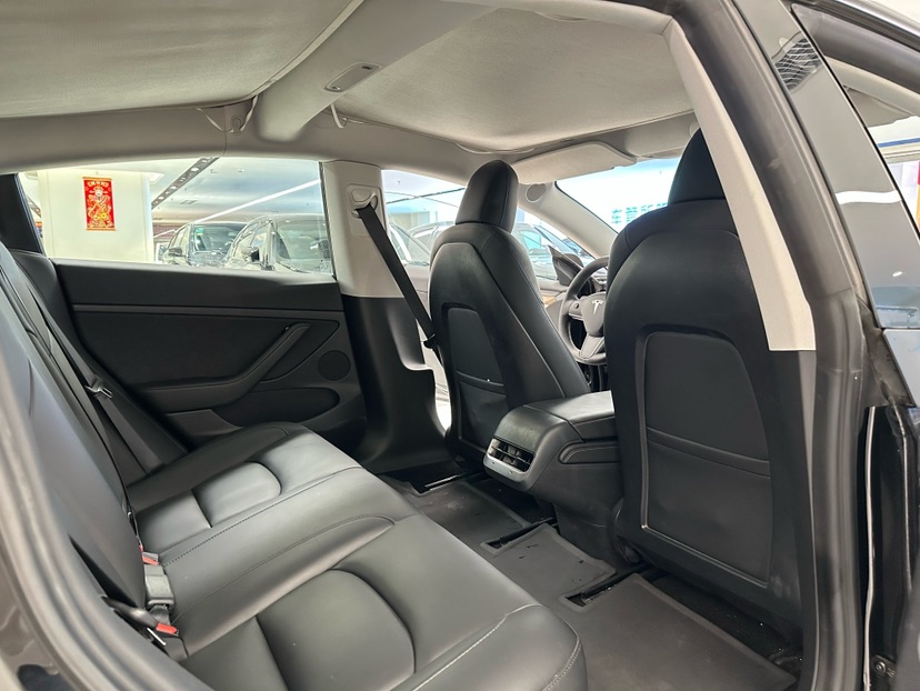Tesla Model 3 2021 #5 Tesla Model 3 2021 car image #5