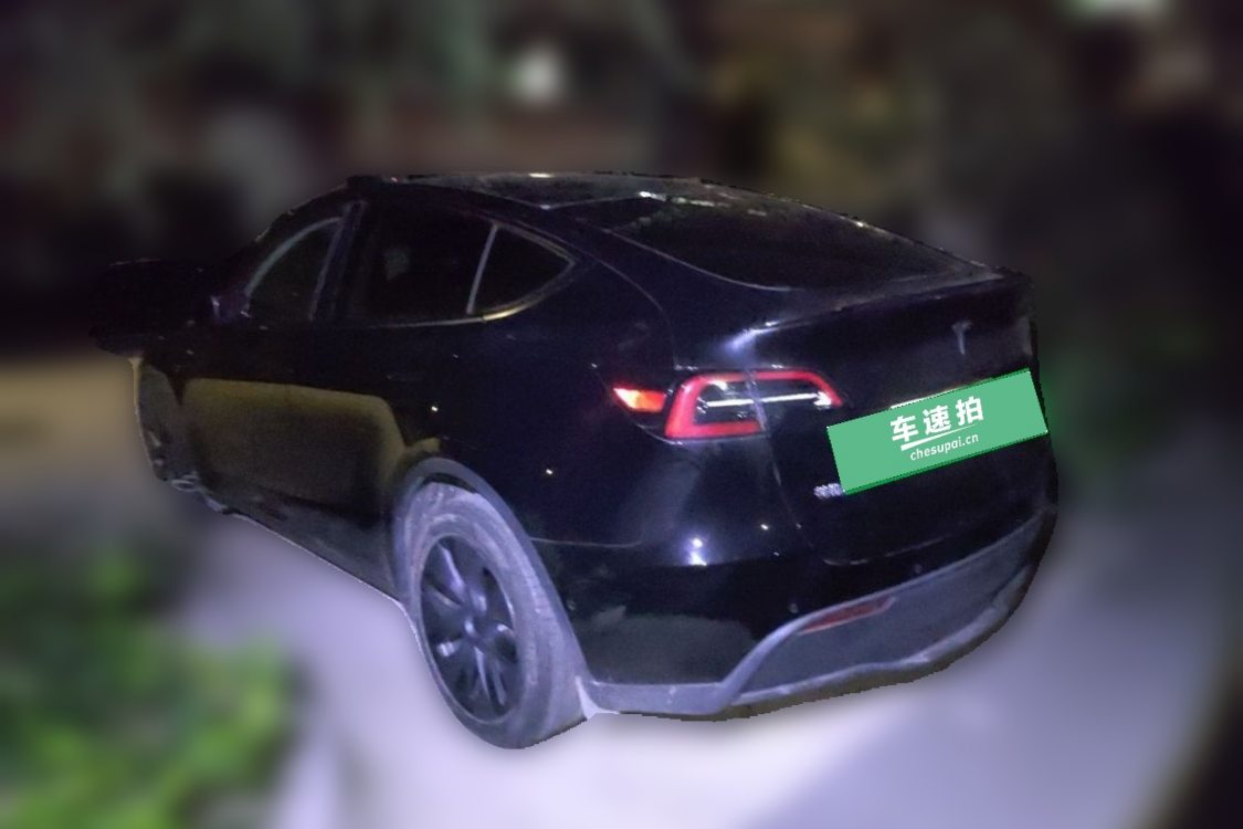 Tesla Model Y 2023 #3 Tesla Model Y 2023 car image #3