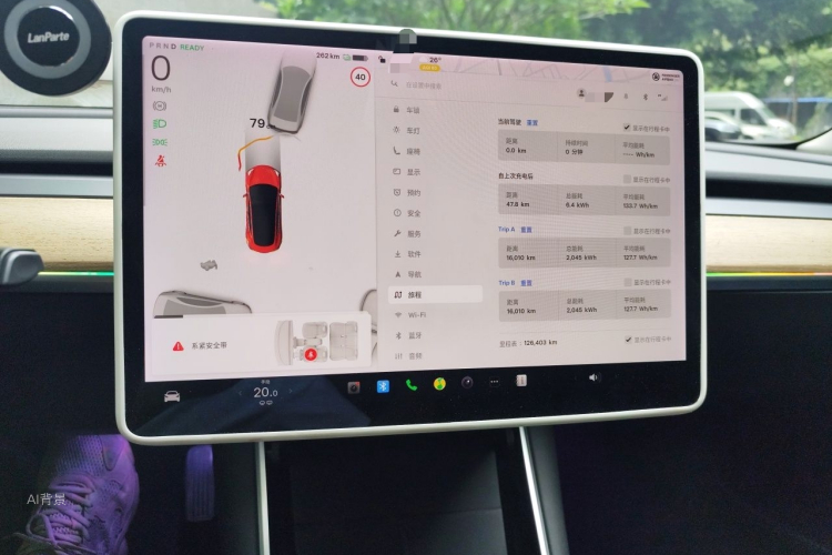Tesla Model 3 2020 car image #15