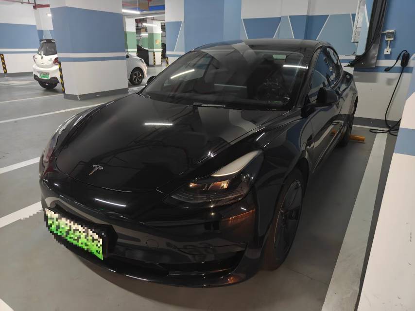 Tesla Model 3 2021 car image 