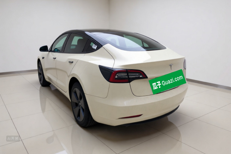 Tesla Model 3 2022 car image #5