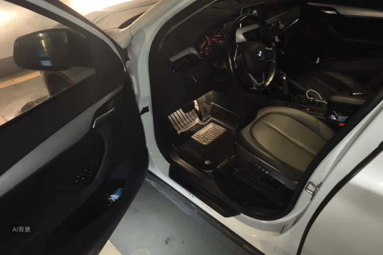 BMW X1 2017 car image #18