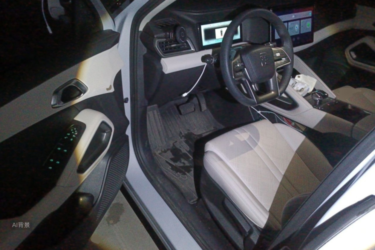 BYD YuanUP 2024 #18 BYD YuanUP 2024 car image #18
