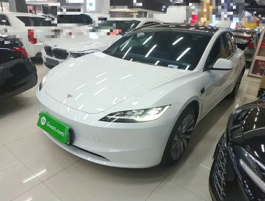 Tesla Model 3 2024 Tesla Model 3 2024 immagine di auto