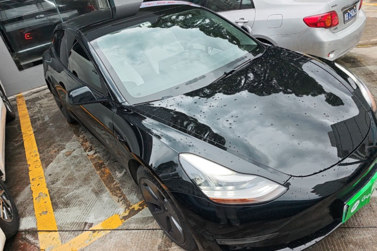 Tesla Model 3 2020 car image #4