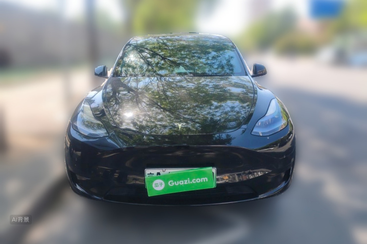 Tesla Model Y 2023 immagine di auto #3