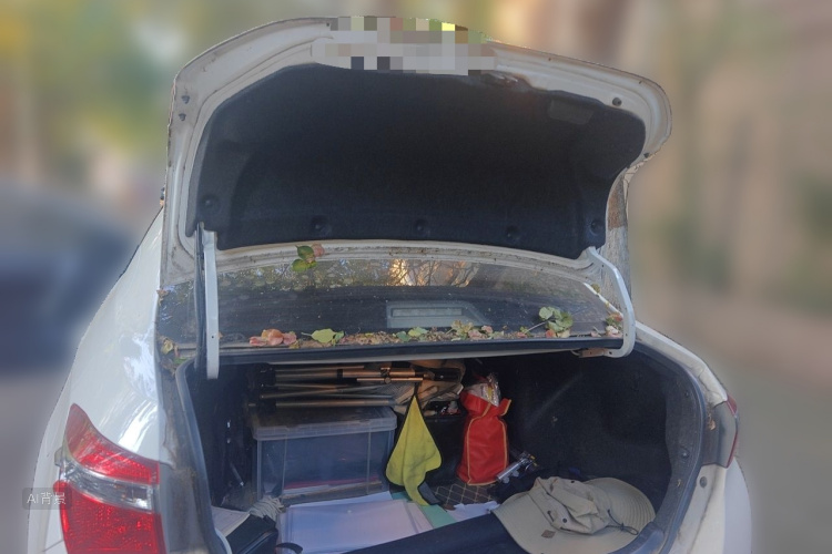 Toyota Corolla 2019 car image #21