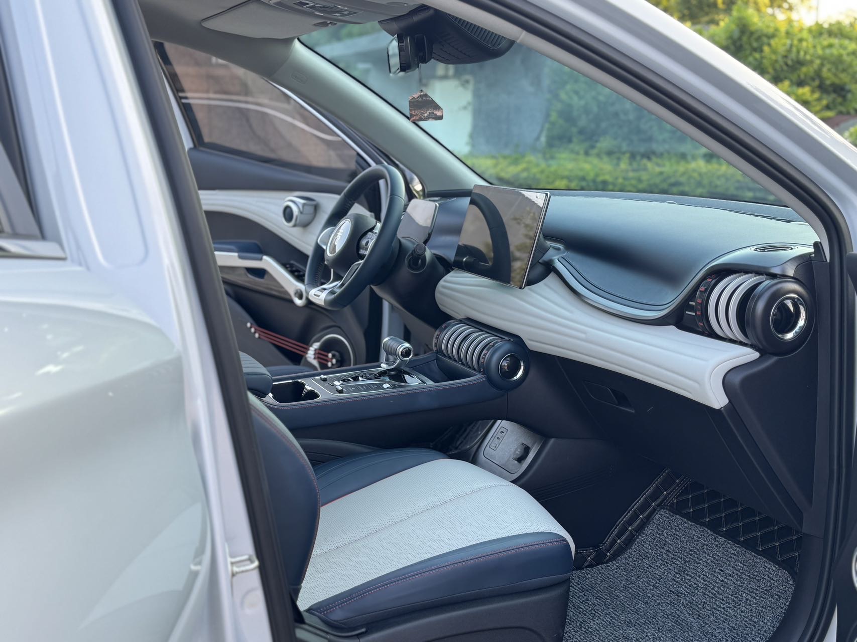 BYD Yuan Plus 2023 car image #8