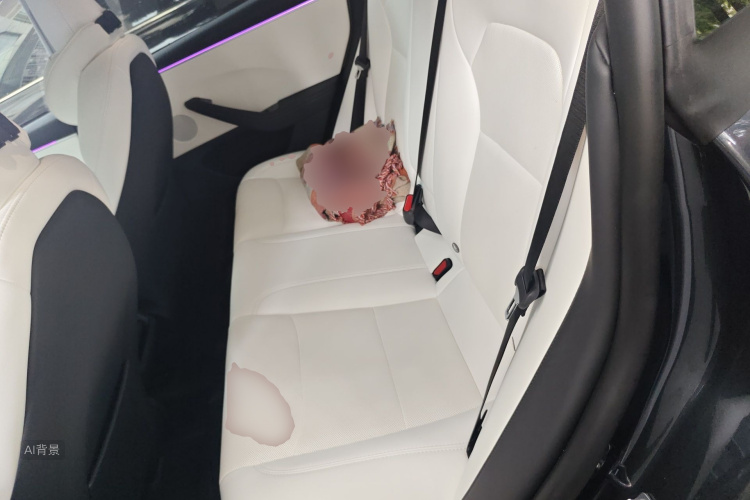 Tesla Model 3 2024 car image #19