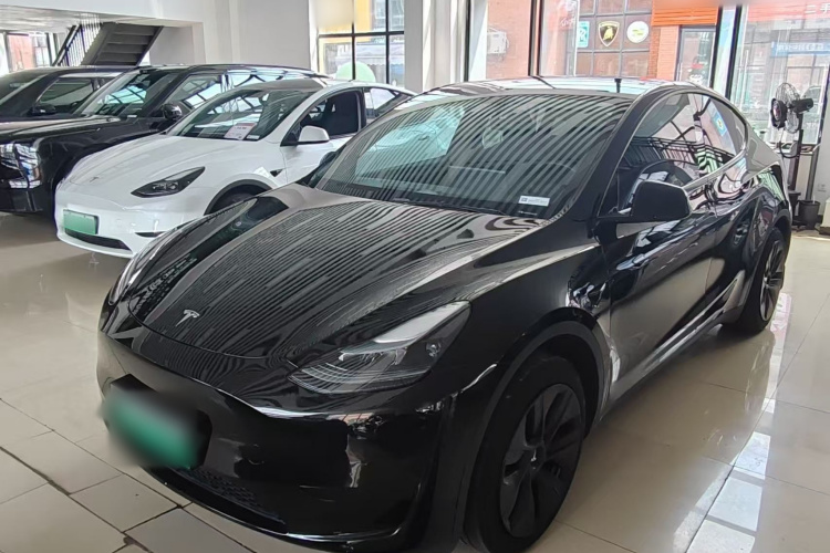 Tesla Model Y 2024 car image #2