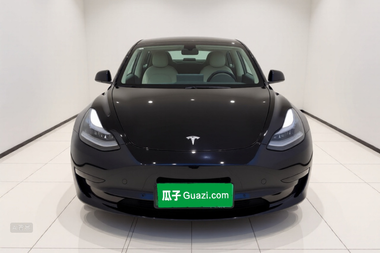 Tesla Model 3 2021 car image #3