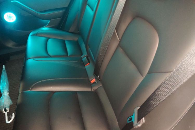 Tesla Model 3 2022 car image #19