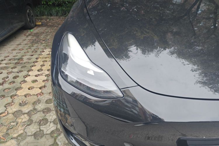 Tesla Model Y 2022 #8 Tesla Model Y 2022 car image #8
