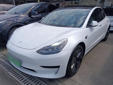 Tesla Model 3 2021 Tesla Model 3 2021 car image