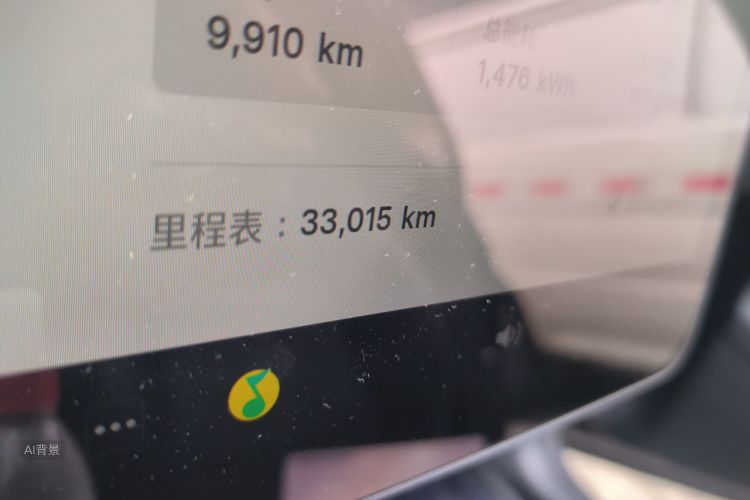 Tesla Model Y 2024 car image #14