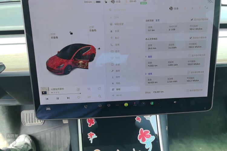 Tesla Model 3 2020 car image #13