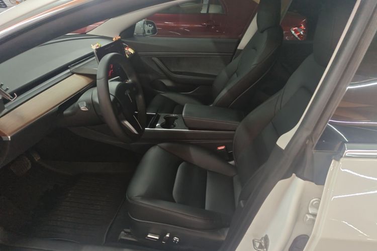 Tesla Model 3 2020 car image #15