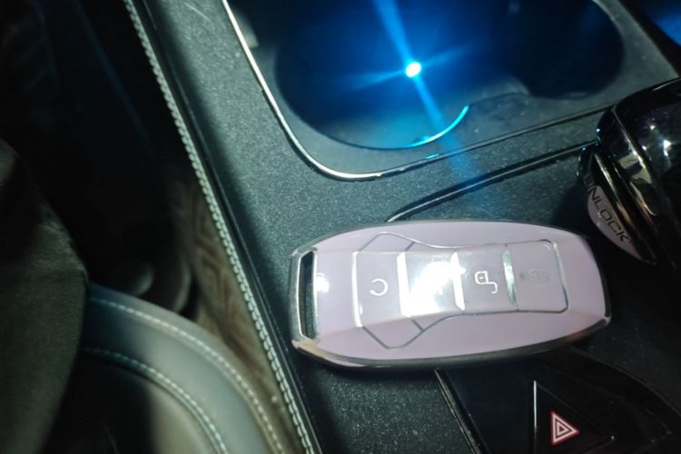 BYD Han 2022 #9 BYD Han 2022 immagine di auto #9