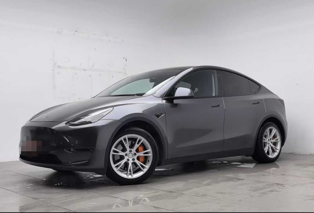 Tesla Model Y 2022 Tesla Model Y 2022 car image