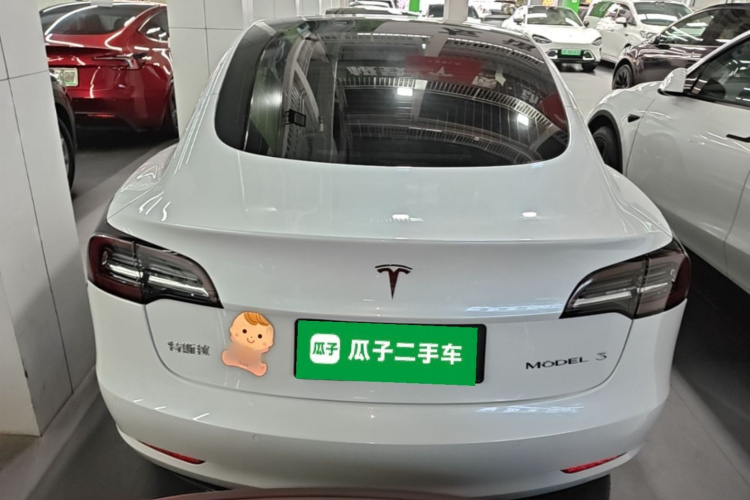 Tesla Model 3 2020 car image #6