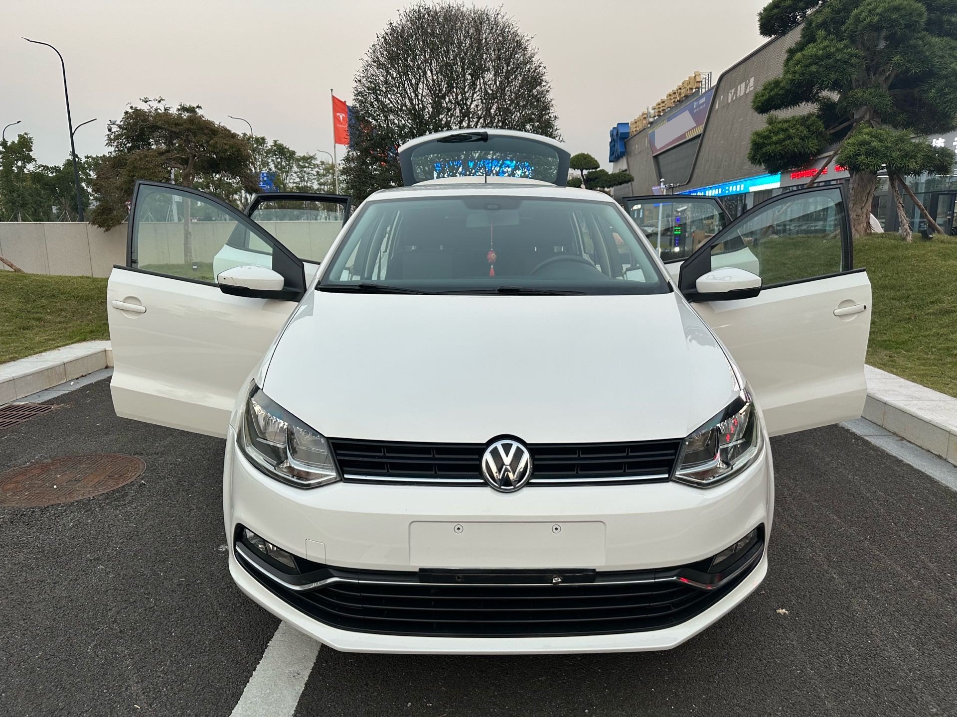 Volkswagen Polo 2015 immagine di auto #11